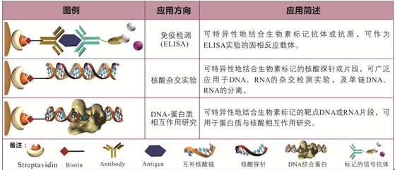 <a href='http://m.5000js.com/html/3206594356.html' target='_blank'>鏈霉親和素</a>磁珠用途