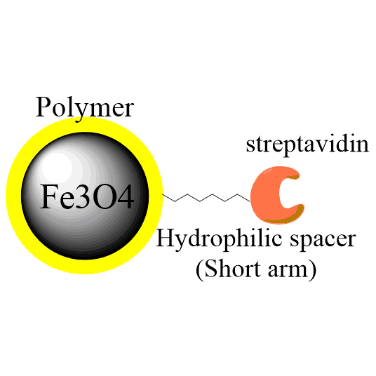 Streptavidin modified magnetic beads (PuriMag G-Streptavidin beads)