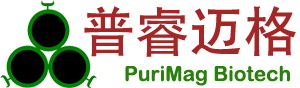 生物磁珠專(zhuān)家